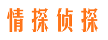 丰都市侦探调查公司